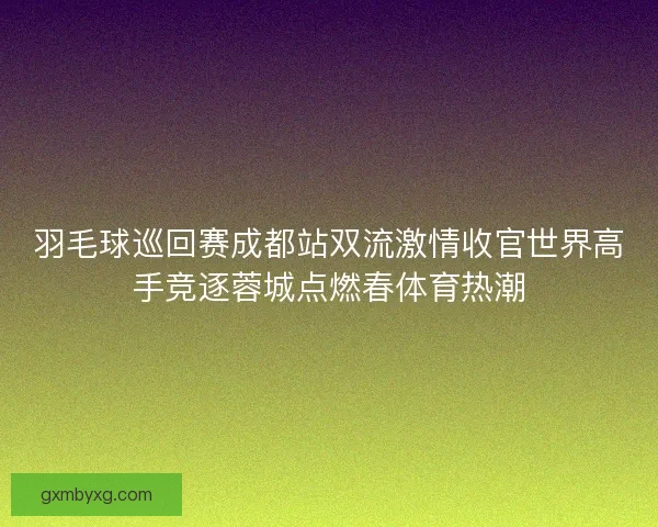 羽毛球巡回赛成都站双流激情收官世界高手竞逐蓉城点燃春体育热潮